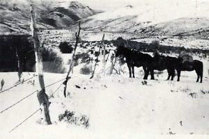 i\Rawlins-cabin-looking-down-Squaw-Creek